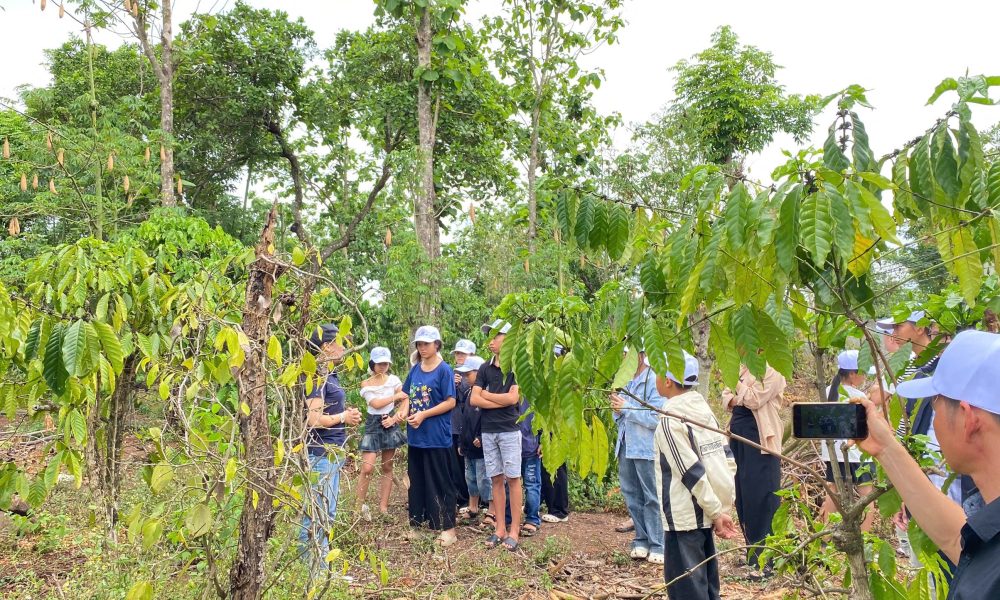 Trải nghiệm cà phê đặc sản tại farm Hạt Ngọc Tây Nguyên